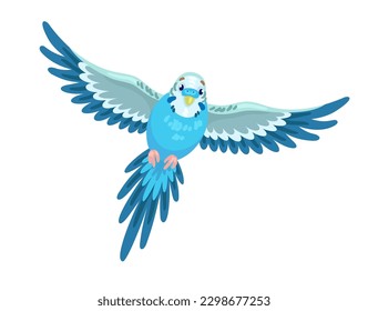 Cute blue budgerigar flies. In cartoon style. Isolated on white background. Vector flat illustration