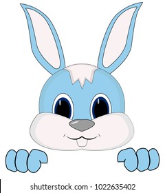 cute blue Bunny's face climbs out