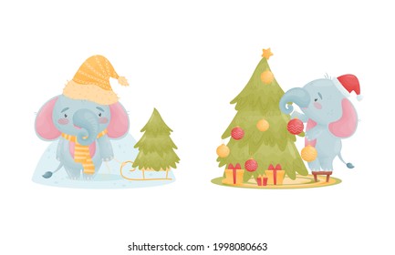 Cute Blue Elephant Character Decorating Fir Tree and Wearing Warm Winter Hat Vector Set