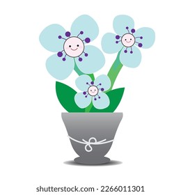 Flores azules curas en macetas