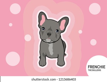 Cute blue French Bulldog puppy in pink retro disco background. Feel adorable and funny with this Frenchie style.