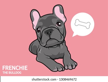 Cute Blue French Bulldog is Waiting for Someone to Feed Him. Indulge in the adorable charm of this blue French Bulldog eagerly awaiting his next meal.