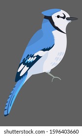 Cute Blue Jay bird icon. Sitting animal sign. Minimal flat geometric style winter birds of woodland, backyard. Birdwatching element design idea.