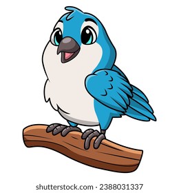 Cute blue jay cartoon on white background