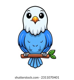 Cute blue love bird cartoon on tree branch