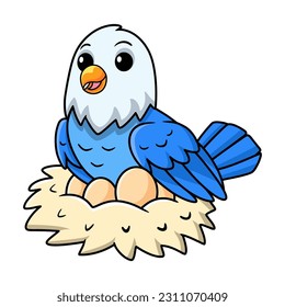 Cute blue love bird cartoon with eggs in the nest