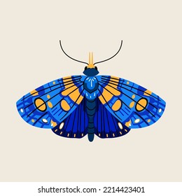 Cute blue moth with beautiful wings. Summer butterfly Vector bright insect illustration isolated on beige background. Halloween character