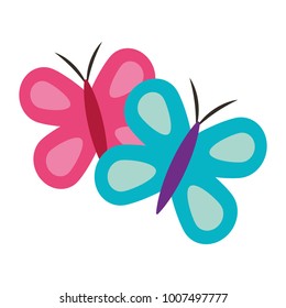 cute blue and pink butterflies spring animal