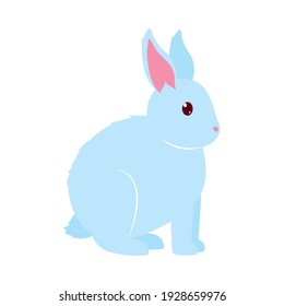cute blue rabbit icon over white background, colorful design, vector illustration