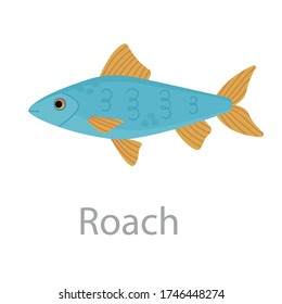 Cute Blue Roach Fish Vector Flat Illustration. River Animal Swimming Isolated On White Background. Colorful Cartoon Clipart For Design.