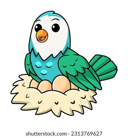 Cute blue turquoise bird cartoon with eggs in the nest