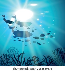 Ballena azul, delfín, peces y corales. Día Mundial del Océano 8 de junio. Afiche cuadrado tropical con paisaje de mundo submarino y animales marinos. Ilustración vectorial para diseño, decoración, volante.