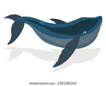 cute blue whale isolated on white background