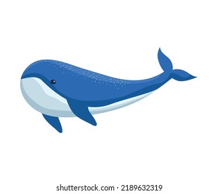 cute blue whale over white
