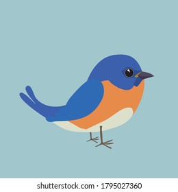 

A cute bluebird comic illustration. Cut out on a blue background.