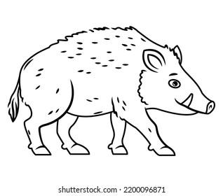 Cute boar stands on a white background. Vector illustration with cute forest animals in cartoon style. outline image