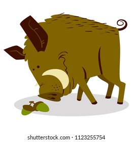 Cute boars or warthog character with acorn. Vector illustration with wild pig. Forest inhabitant in cartoon flat style. Chinese horoscope personage 