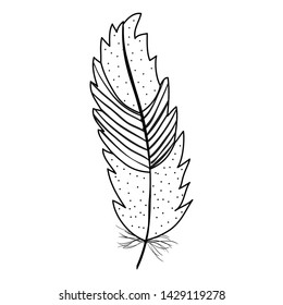 cute bohemian feather decorative icon