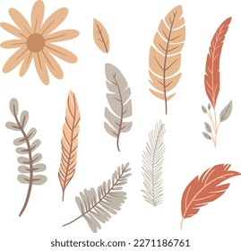 Ilustraciones de Boho lindo con hojas, flores y plumas