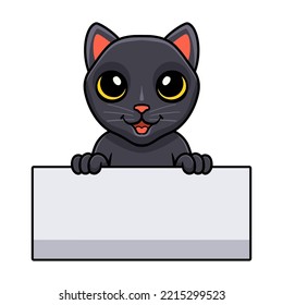 Cute bombay cat cartoon holding blank sign