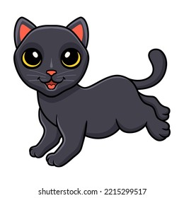 Cute bombay cat cartoon posing