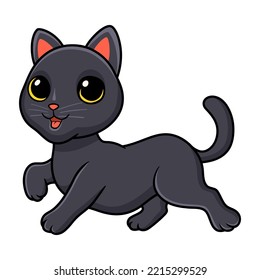 Cute bombay cat cartoon posing