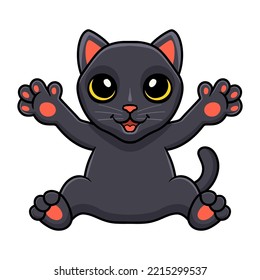 Cute bombay cat cartoon posing