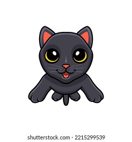 Cute bombay cat cartoon posing