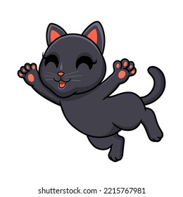 Cute bombay cat cartoon posing