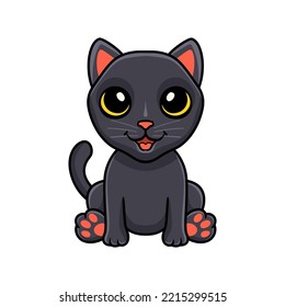 Cute bombay cat cartoon sitting