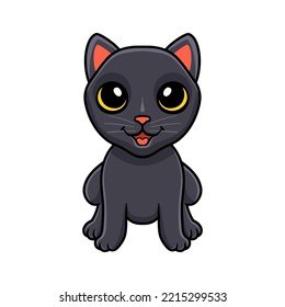 Cute bombay cat cartoon sitting