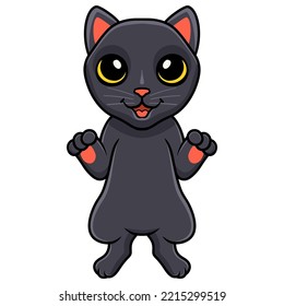 Cute bombay cat cartoon standing