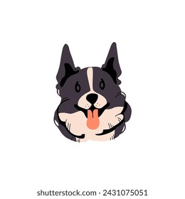 Lindo avatar de border collie. Cachorro de raza pastor australiano muestra lengua. Cachorro feliz de retrato de perro pastor esponjoso. Es gracioso el hocico de perro de pastoreo. Cara de mascota divertida. Ilustración vectorial aislada plana en blanco