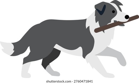 Cute Border Collie Carrying Stick Running Pet Dog Vector