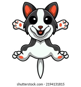 Caricatura de perros callejeros de frontera corta