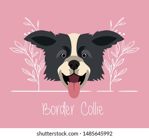 cute border collie dog pet head character