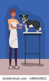 cute border collie dog pet character