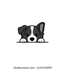 Cute border collie puppy peeking cartoon, vector illustration
