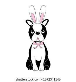 Cute Boson Terrier en orejas de conejito. Ilustración de Pascua - vector 