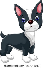 Cute Boston Terrier cartoon