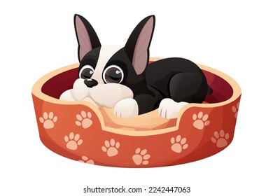 Cute Boston terrier cool sweet puppy lying in bed cartoon style isolated on white background. Cute dog, print design