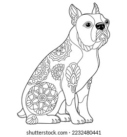 Cute Boston terrier dog  Adult coloring book page in mandala style
