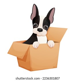 Cute boston terrier dog sitting in the box, adorable pet in cartoon style isolated on white background. Comic emotional character, funny pose