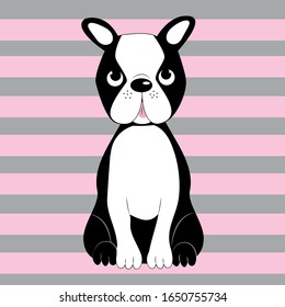 Cute Boston Terrier on striped pattern. Good for poster, banner, home decor, baby room design, and print on gift. 