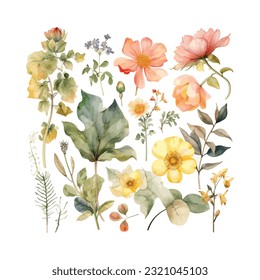 cute botanical flower watercolor clipart