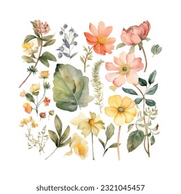 cute botanical flowers watercolor clipart
