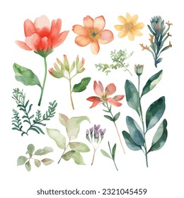 cute botanical flowers watercolor clipart
