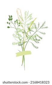 A cute bouquet of blades of grass, a summer collection of different herbs with a piece of paper with an inscription glued on. On a white background. Vector illustration