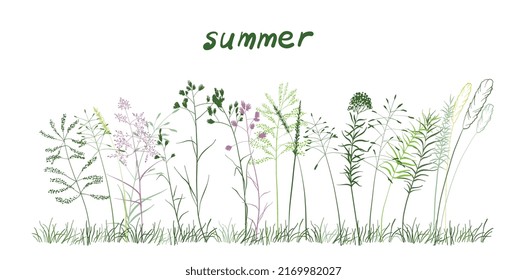 A cute bouquet of blades of grass, a summer collection of different herbs . On a white background. Vector illustration