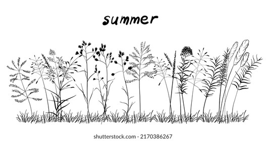 A cute bouquet of blades of grass, a summer collection of different herbs . On a white background. Vector illustration
